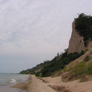 Lake Michigan beach and bluffs.