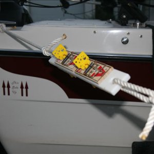 Device to stop mice from boarding at night