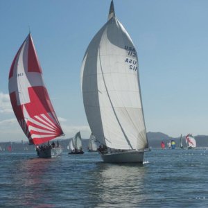 Two big ones racing down wind