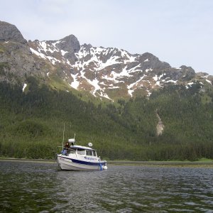 temporary anchorage black bay, chichagof island