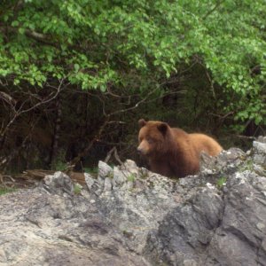 staring at the kayakers camp