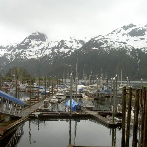 pelican harbor.