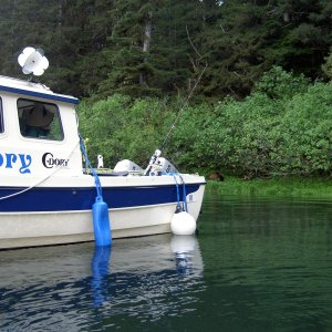 anchored with bear by boat in red bluff bay