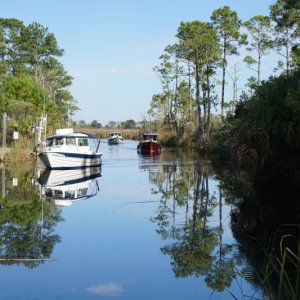Boats arrive!