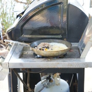 Omelette cooking: good wild bore sausage, Olives cheese etc (oysters do well here also)