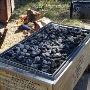 Start of charcoal on pig box