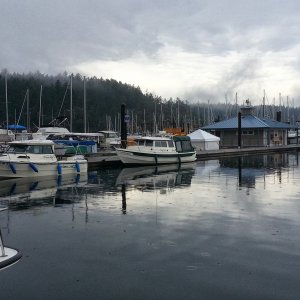 Media 'Made it to Friday Harbor before dark' in album 'Putting on new California Numbers'