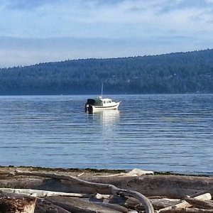 Media 'Last night in the San Juans at Spencer Spit' in album 'Putting on new California Numbers'