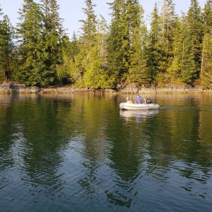 Taking the dog to shore (again)
