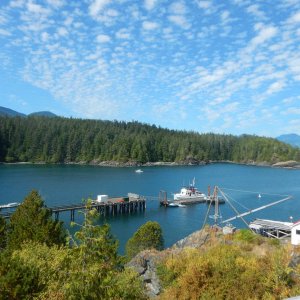 Media 'Friendly Cove' in album 'Camping overnight at Gold River Municipal campsite.'