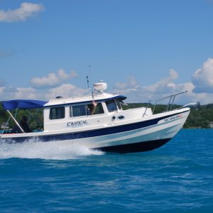 Running free on Torch Lake