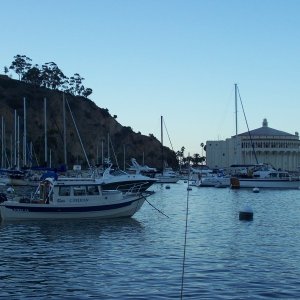 First ocean trip to Catalina; it was awesome!