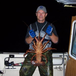 9-29-07 Lobster