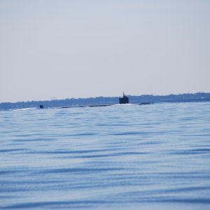 Media 'Sub returning home...' in album 'Fixed Bridge  on north end of Chesapeake Bay Bridge Tunnel. Approximately 17 miles north of Va. Beach, VA entrance.'