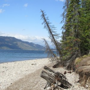 Jackson Lake
