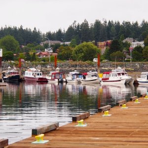 C-dories Comox 3