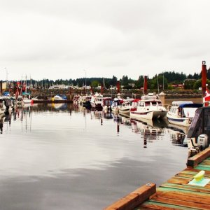 C-dories Comox 4