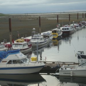 Comox  - Low tide Friday morning