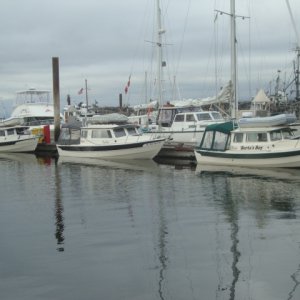 C-Dorys at Comox