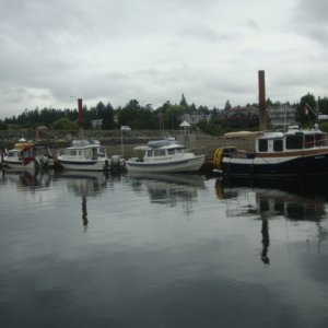 Media 'Anna Leigh, Daydream, C-Change, Anonoymous & R-Matey (1)' in album 'C-Brats Comox July 2012 001'