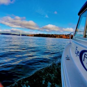 Media 'Scouting MA 13 for future fishing areas' in album 'My first time putting her on the water'
