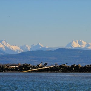 Cascades from S. entrance to Swinomish Channel 2/19/11
