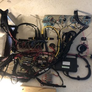 Media 'Osprey wiring' in album 'New Honda 225, rigged.'
