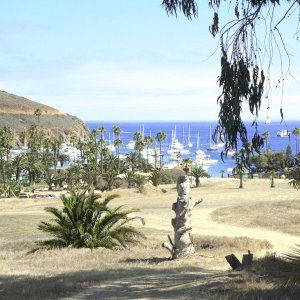 Walking near Twin Harbors