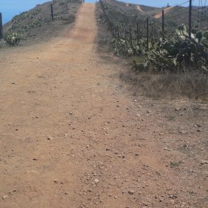 Media 'Trail on top of the 1000' mountain west of Twin Harbors' in album 'C-Brats on a string line'