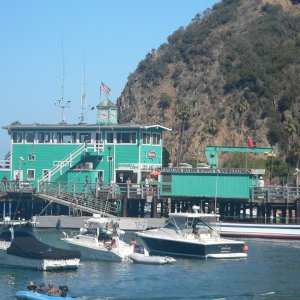Avalon boat dock