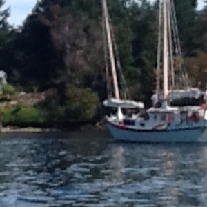 Media 'Junk rig sailboat it would heel 15 degrees in this water as a person came out of the dinghy!  Saw it in Nanaimo later so must be ok' in album 'Broughtons'
