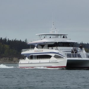 Island Explorer 5 whale watching boat returning to Cap Sante marina