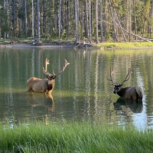 Media '75E3AB34-E65C-4F56-BAA0-381FE92E8D22' in album 'June 3rd, our 53 Wedding Anniversary & on our way to put the boat n Yellowstone Lake for the season.  Stopped here at Shieffeld Forest Service campground on the border of the south entrance of Yellowstone National Park for the night'