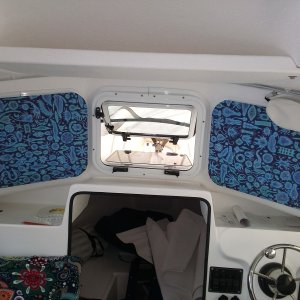 window covers