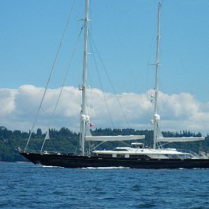 Saw this beauty entering Vancouver harbor on 6/25/2016