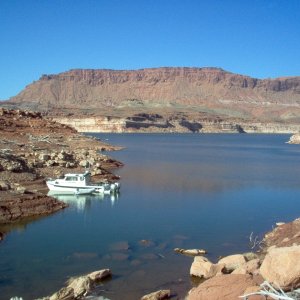 (Cygnet) White Canyon, Lake Powell, Utah