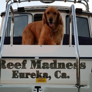 Media 'Docker onboard' in album 'Floater Home at 7 Feathers RV'
