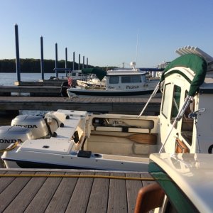 back at the marina