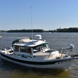 DSC 1536