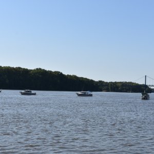 DSC 1516