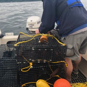 Media 'Every year I do this, I remain in awe that I can fit two grown men, 4 shrimp pots, 4 sets of buoys and ropes as well as a variety of buckets in the cockpit of a 16 foot Angler.' in album 'On the beach near Tahuya'