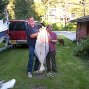 70 pound halibut - August 2007