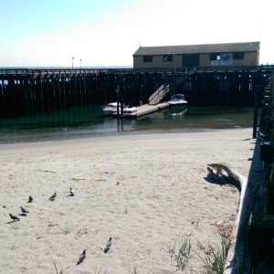 IMAG0168