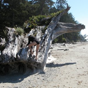 Media 'Rene on driftwood' in album 'Tom birdwatching, trip through Washington's Olympic Peninsula'