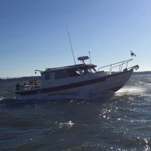 Media 'Tyboo Crabbing in an East wind, Columbia R
Nov., 29,  2015' in album 'Tom birdwatching, trip through Washington's Olympic Peninsula'