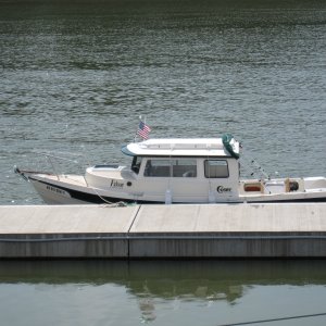 Media 'Falcon at the Clarksville dock' in album 'June 18 2009 Bill and Brenda Russells "Land between the lakes trip" taken at the Clarksville dock'