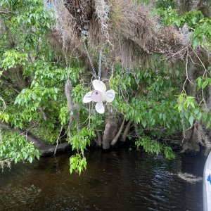Blue Creek Geocache