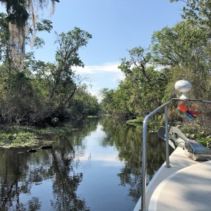 The cut on the Hontoon Loop Tour between the Hontoon Dead River and the St. John\'s River.