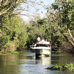 One of the boats coming out of the Cut between the Hontoon Dead River and the St. John\'s River.