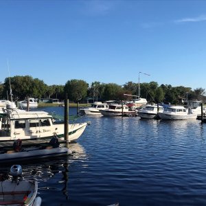 The new C-Dorys are the two on the far dock to the right.